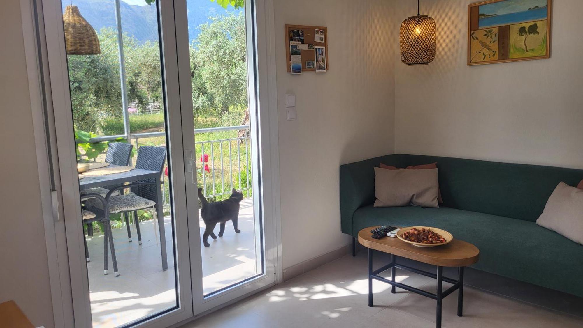 Ioannis Houses - Gemuetliches Ferienhaus Im Olivenhain Skala Potamia Cameră foto